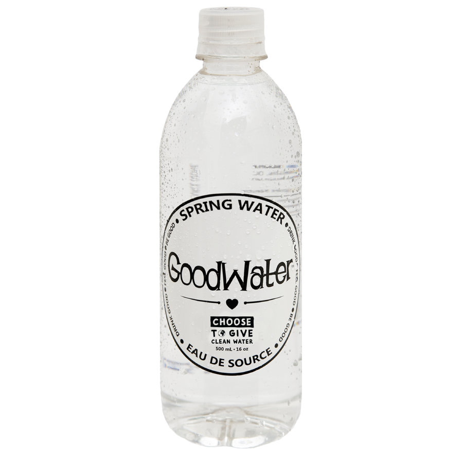 DSD GoodWater (12 x 500 mL)