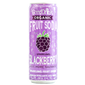 DSD GoodDrink Organic Blackberry Fruit Soda (12 x 355 mL)